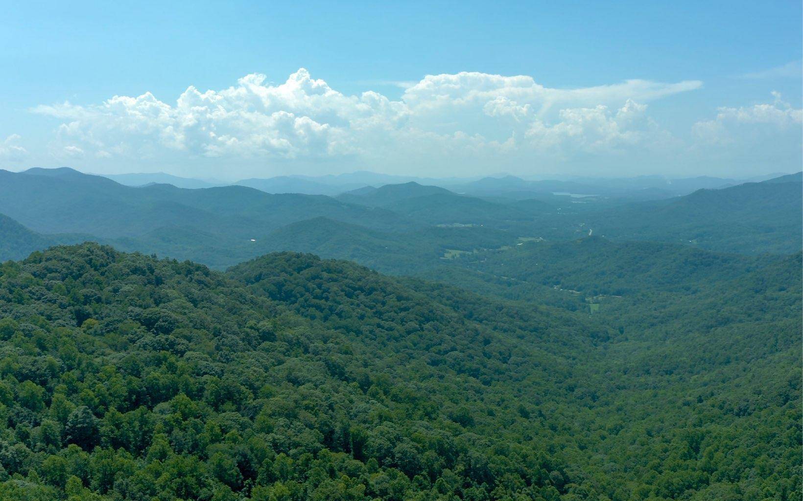 Hayesville, NC 28904,101AC Lori'S Mountain