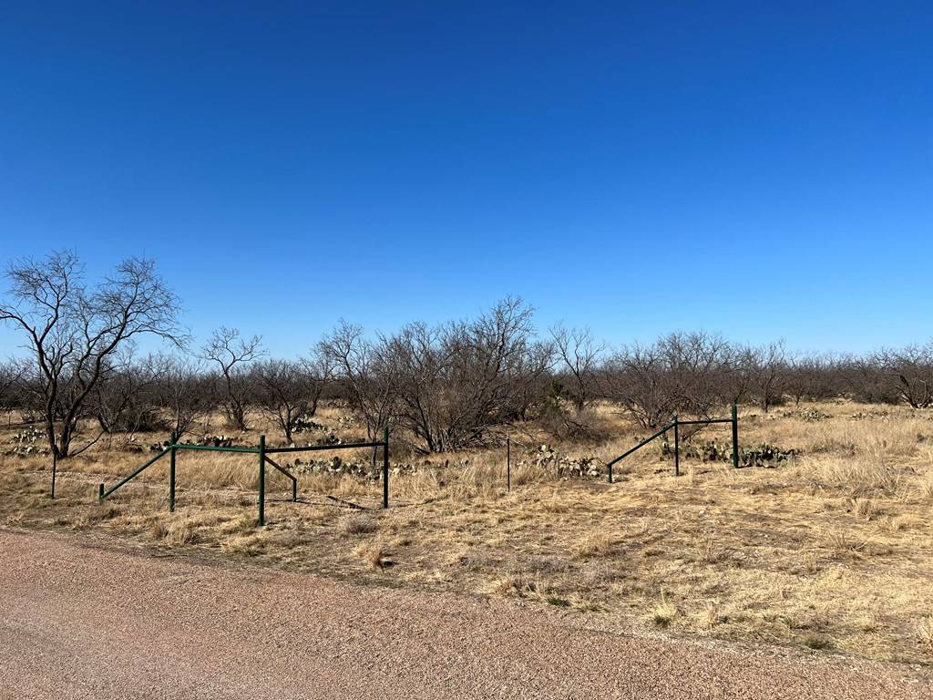 San Angelo, TX 76901,3434 S Pheasant Run