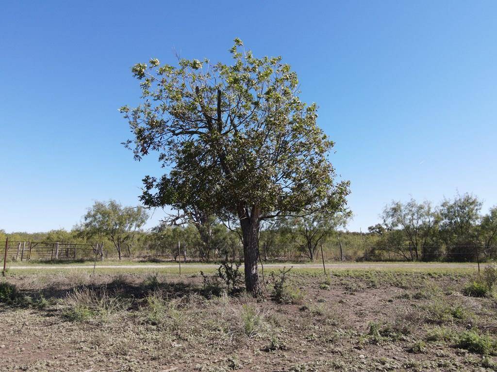 Mertzon, TX 76941,N/A Other