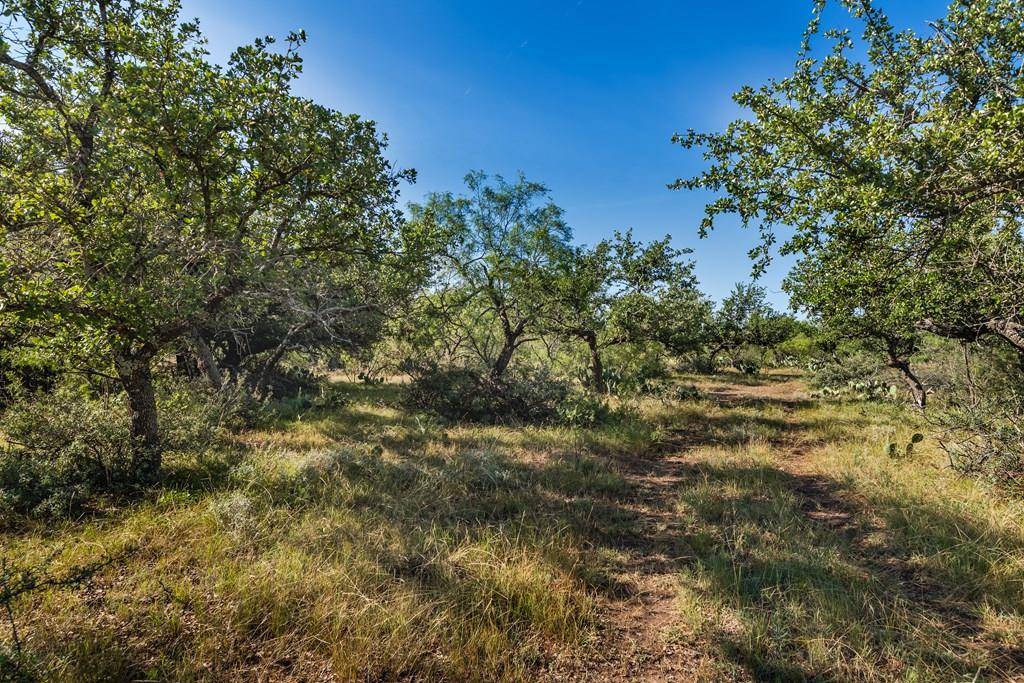 Eden, TX 76837,631 Timber Trail