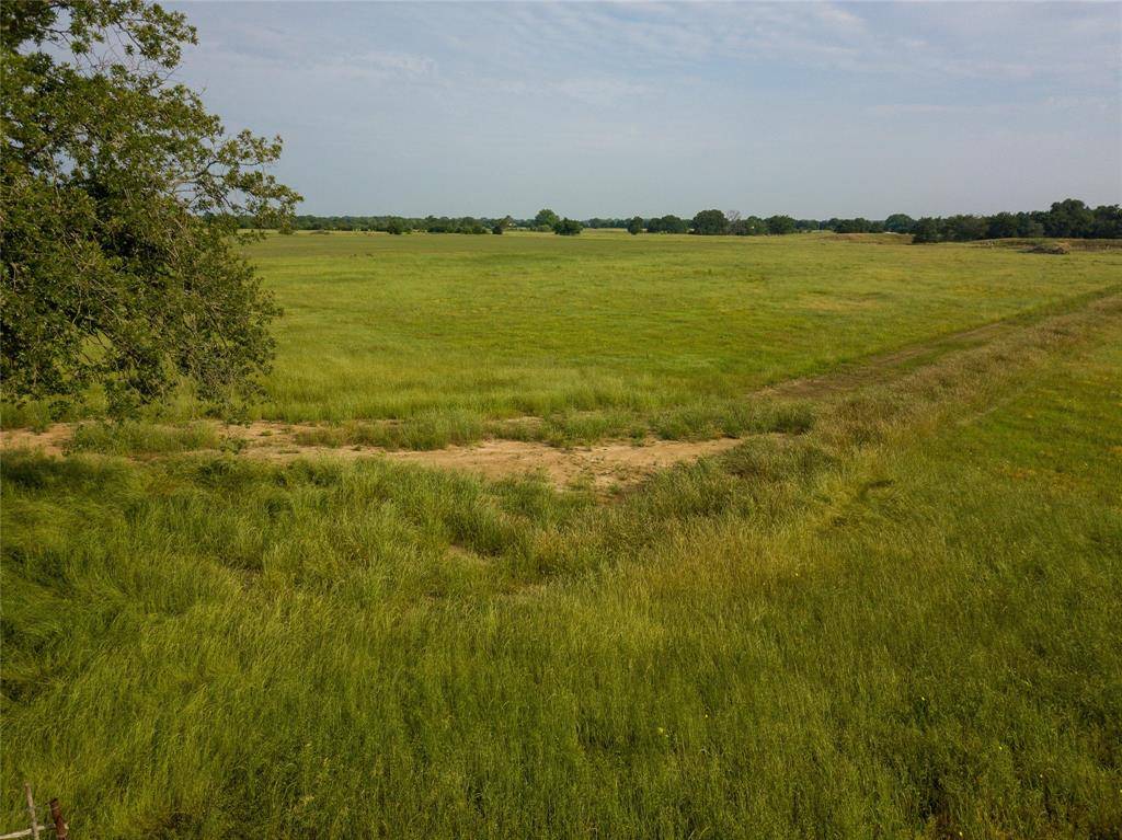 Ravenna, TX 75476,0000 CR 2505