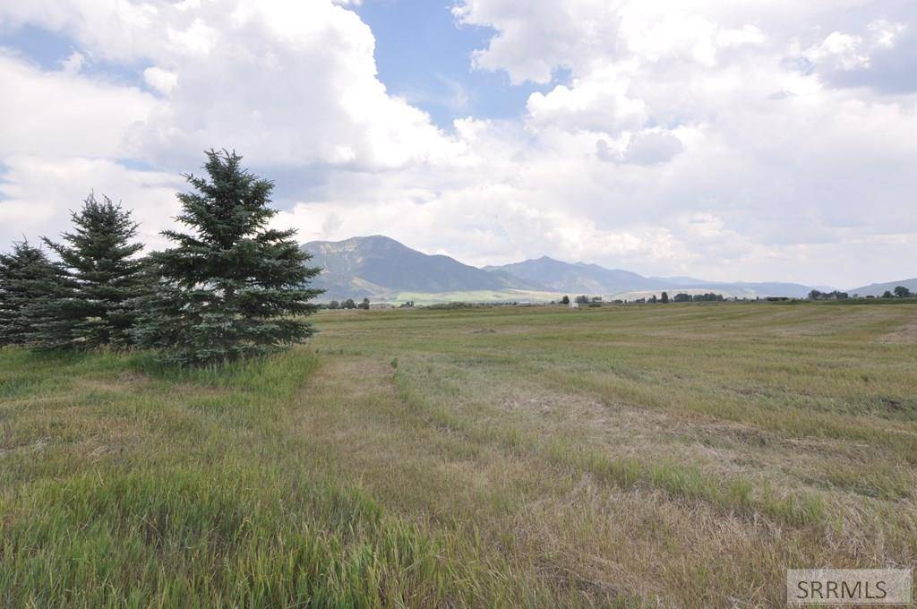 Swan Valley, ID 83449,lot 1 Green Wing Drive