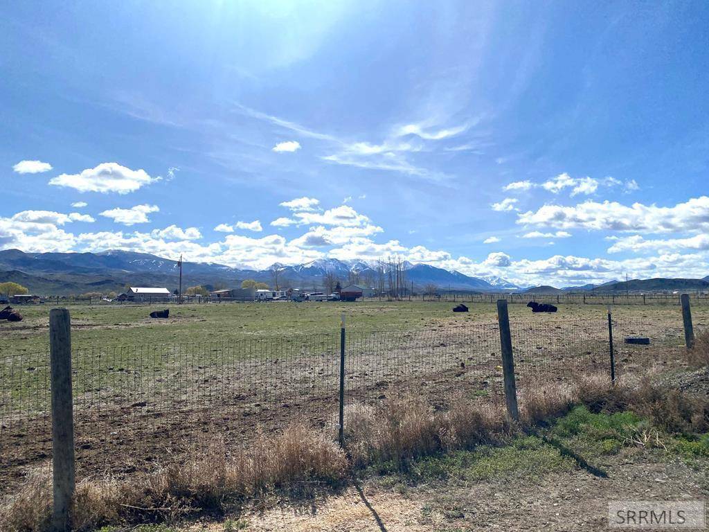 Challis, ID 83226,545 Bluebird Lane