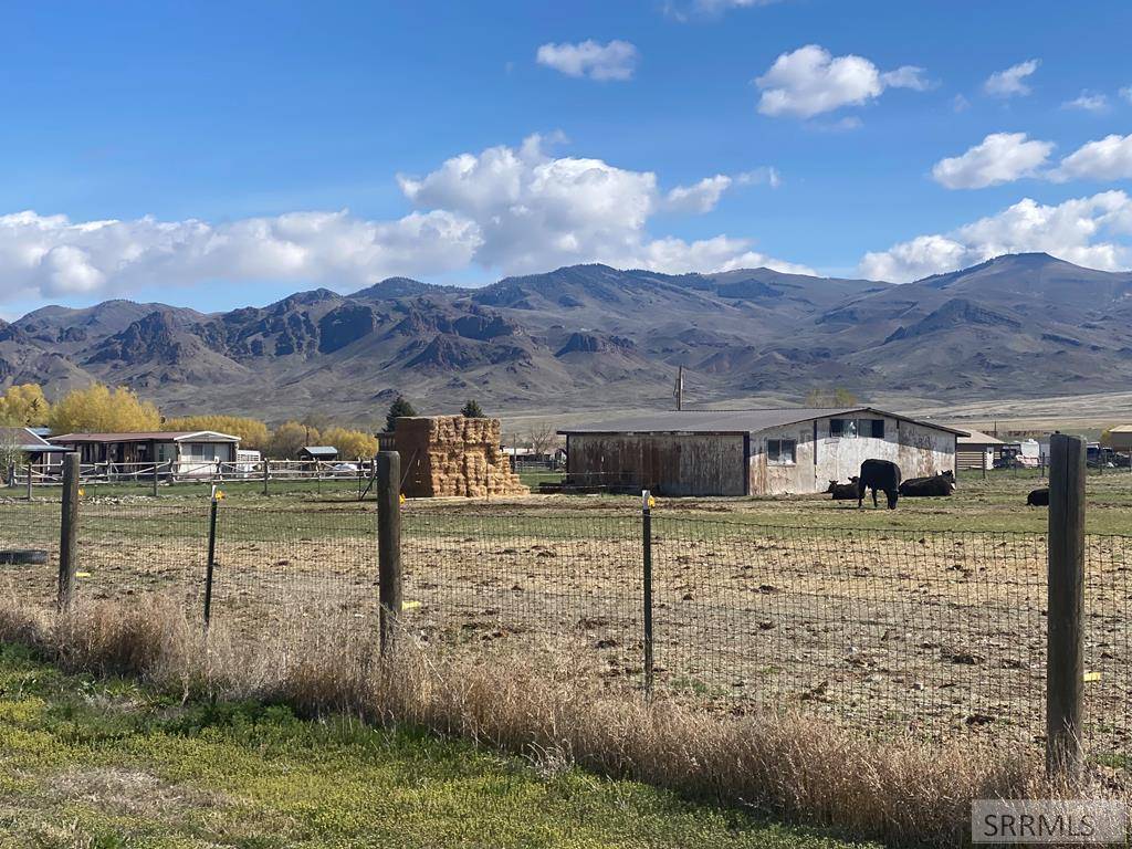 Challis, ID 83226,545 Bluebird Lane