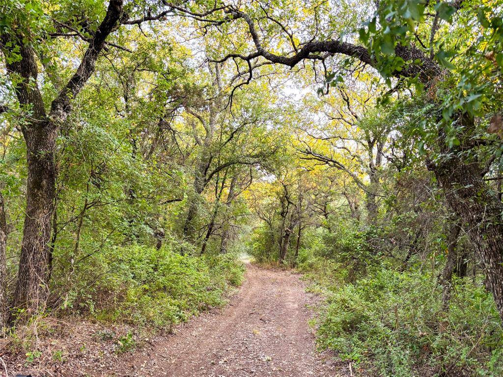 Mineral Wells, TX 76067,0 Pruitt Mountain Road