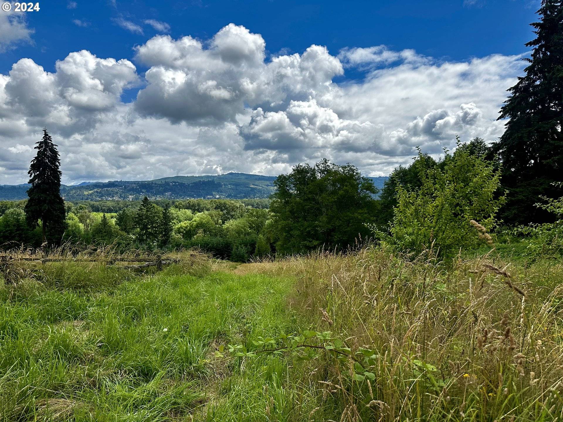 Rainier, OR 97048,Nicolai Cutoff RD