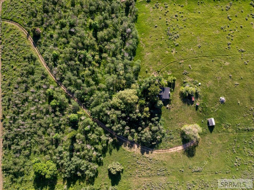 Inkom, ID 83245,TBD Lower Rock Creek Road