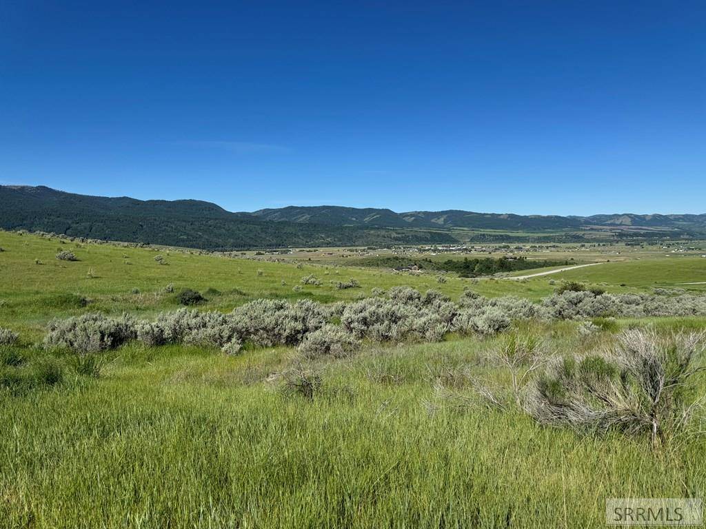 Swan Valley, ID 83449,L15B4 Sumac Loop