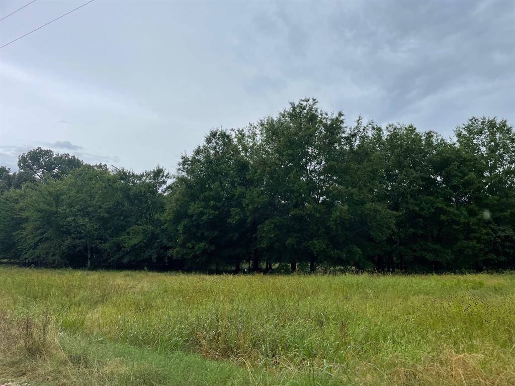 Blossom, TX 75416,Lot 12 PR 44005 #Lot 12