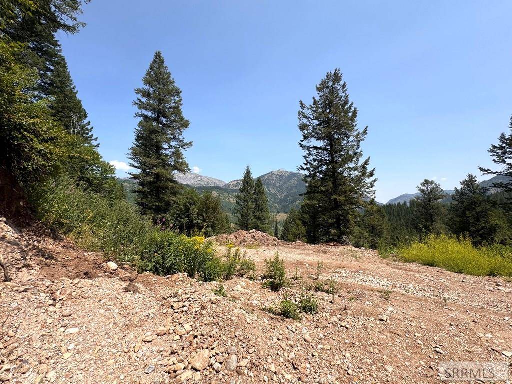 Palisades, ID 83428,TBD Goosewing Drive