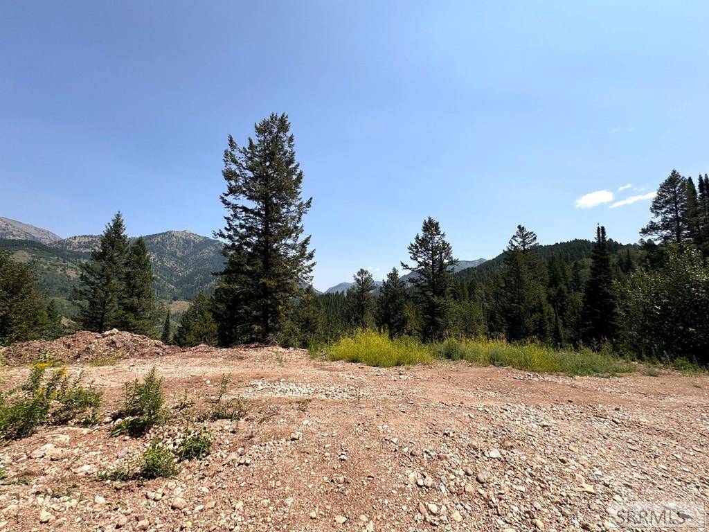 Palisades, ID 83428,TBD Goosewing Drive