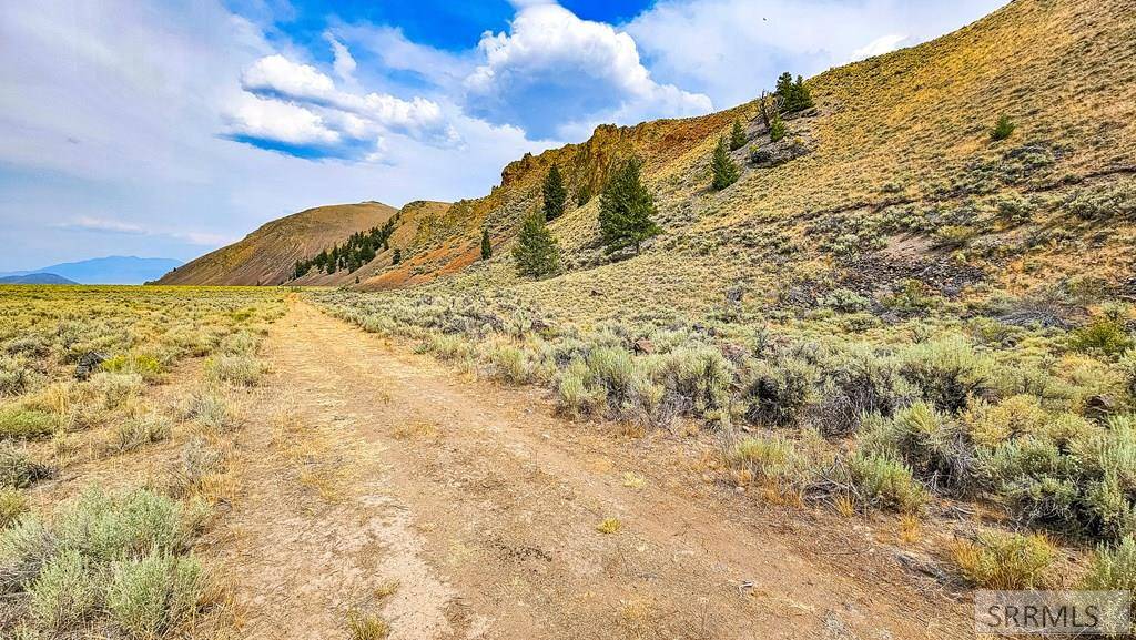 Mackay, ID 83251,4897 N Trail Creek Road