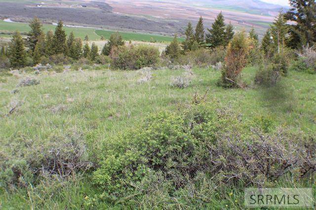 Soda Springs, ID 83276,0044 Caribou Road