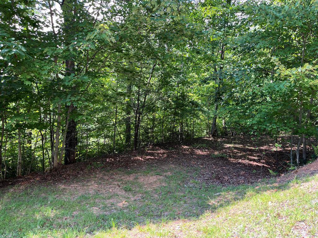 Hayesville, NC 28904,Lot #26 Double Knob Drive E