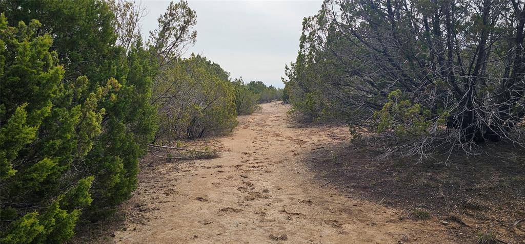 Clyde, TX 79510,TBD County Road 205