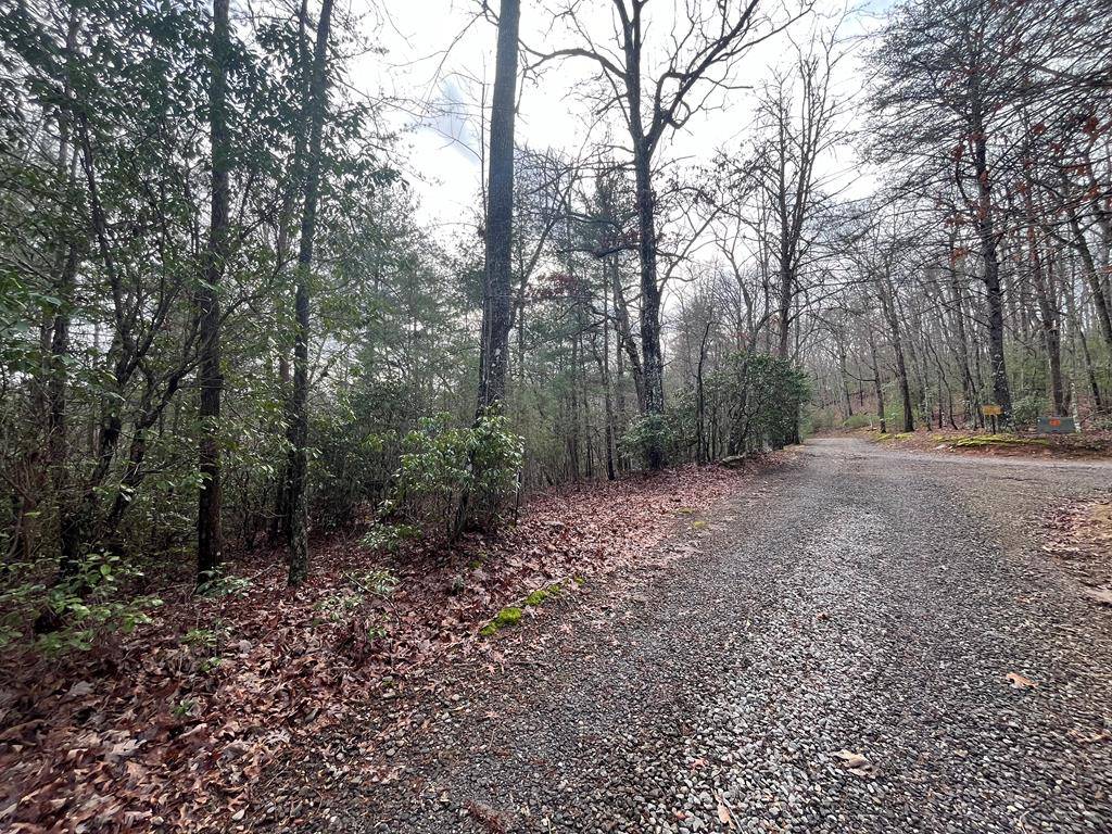 Brasstown, NC 28902,Lot 31 Fox Hunter Lane