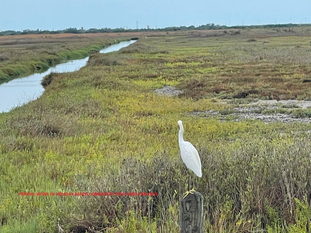 Rockport, TX 78382,64 BAYVIEW LOOP