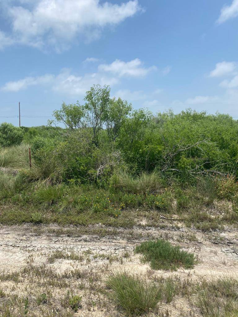 Rockport(holiday Beach), TX 78382,490 W Pin Oak Ln