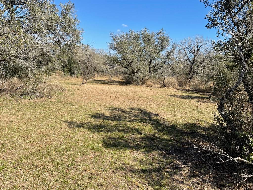 Refugio, TX 78377,241 Shelly Rd