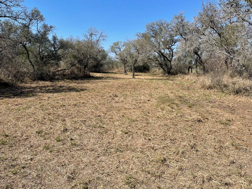 Refugio, TX 78377,241 Shelly Rd