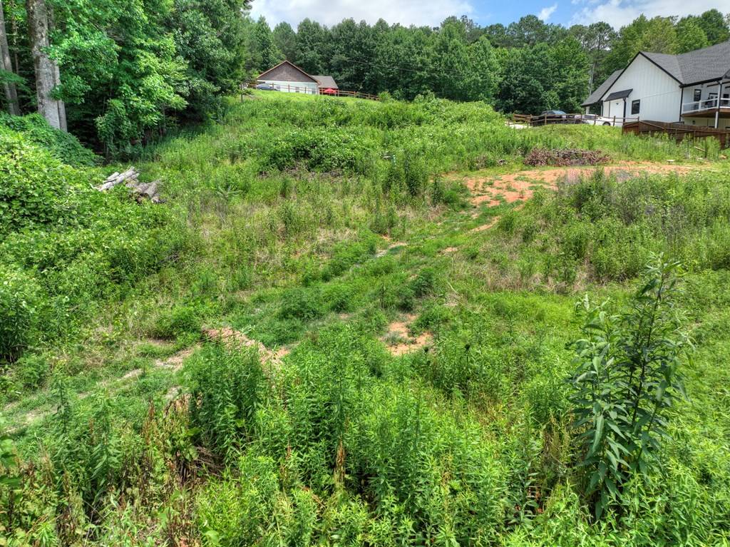 Ellijay, GA 30540,Lot 7 Mountain Trace