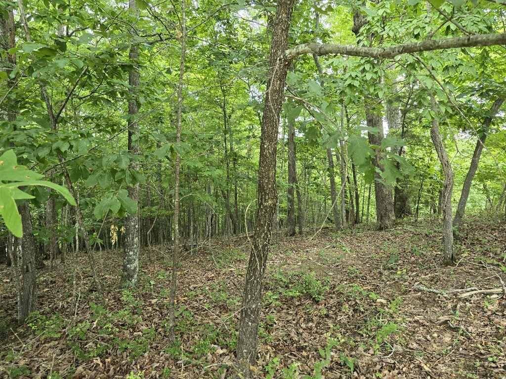 Blairsville, GA 30512,Lot149 The Mountain