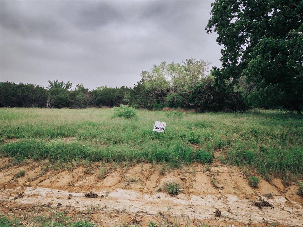 Nemo, TX 76070,1169 County Road 407a