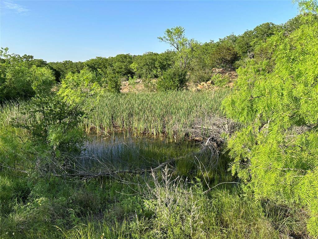 Brownwood, TX 76801,5730 Gobbler Hollow