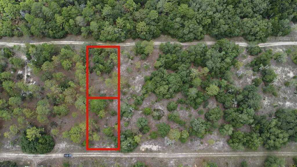 Williston, FL 32696,00 NE 148th Ct