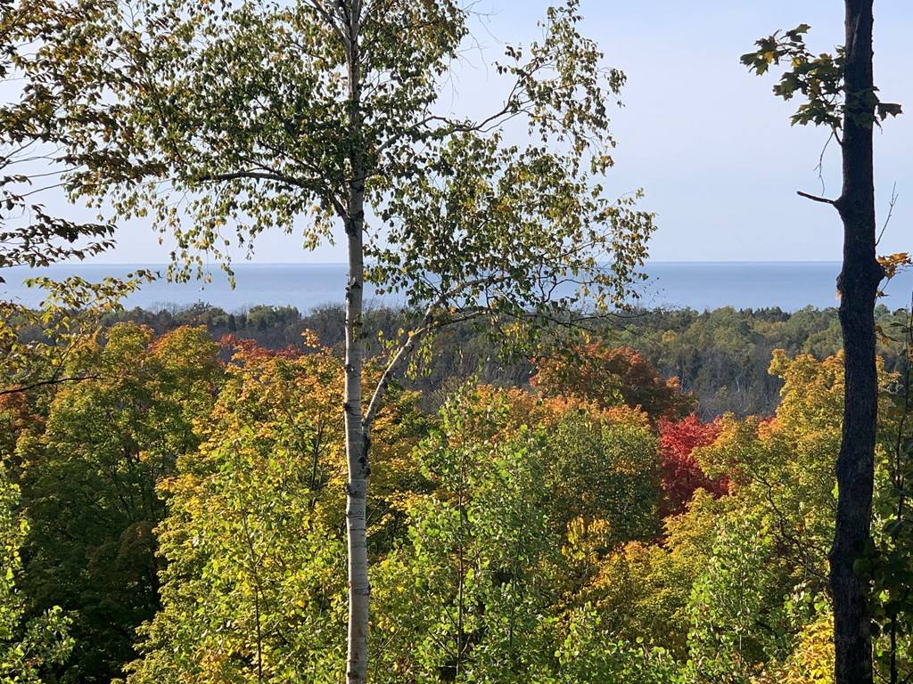 Fish Creek, WI 54212,Lot 20 Wildflower Patch Rd