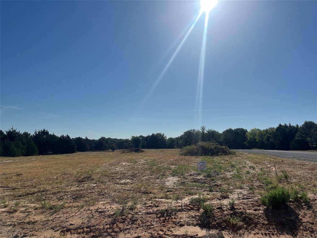 Decatur, TX 76234,Lot 12 Cedar Springs Estates