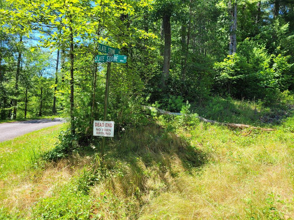 Hayesville, NC 28904,Lot 13 Slate Stone Drive