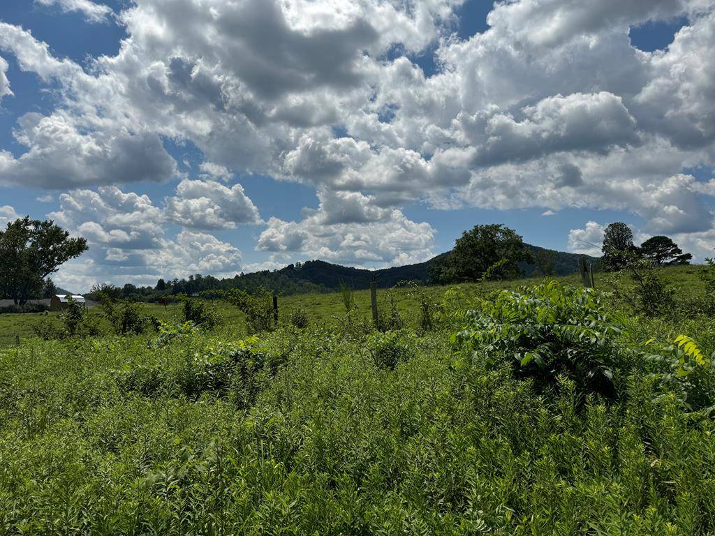 Hayesville, NC 28094,Lot 4 Chatuge Shores Overlook