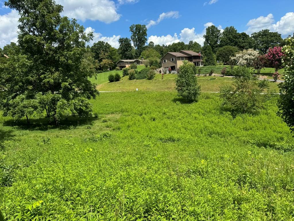 Hayesville, NC 28094,Lot 4 Chatuge Shores Overlook