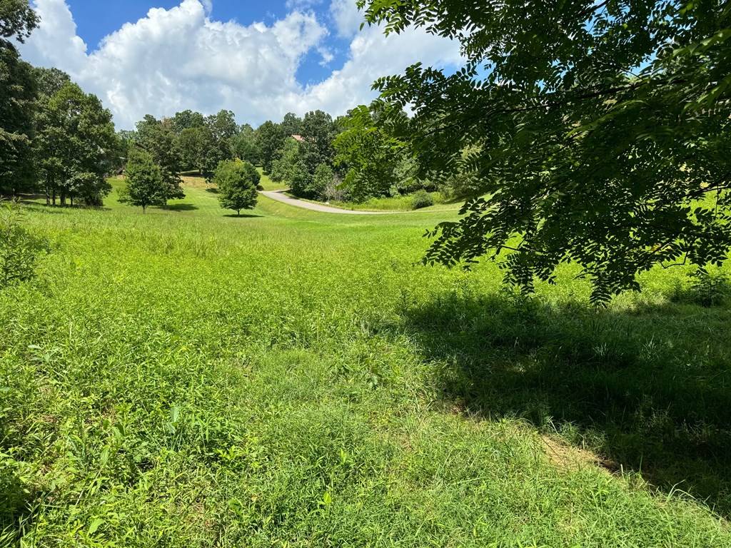 Hayesville, NC 28094,Lot 4 Chatuge Shores Overlook