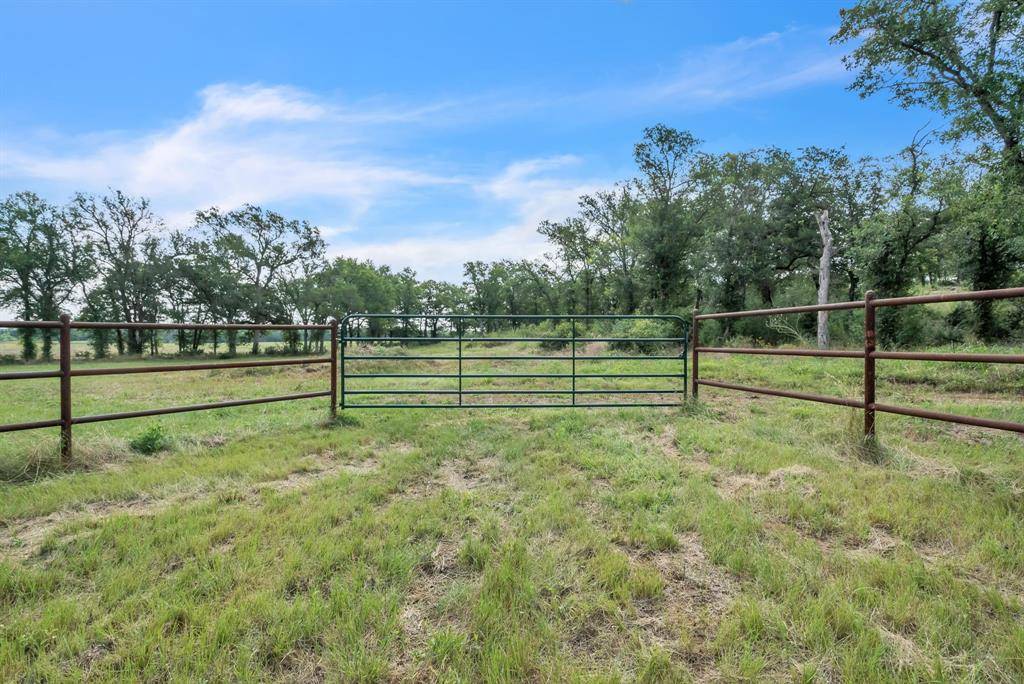 Santo, TX 76472,1005 Carter Lane #Lot 65