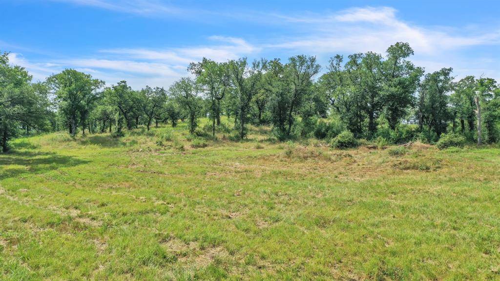 Santo, TX 76472,1005 Carter Lane #Lot 65