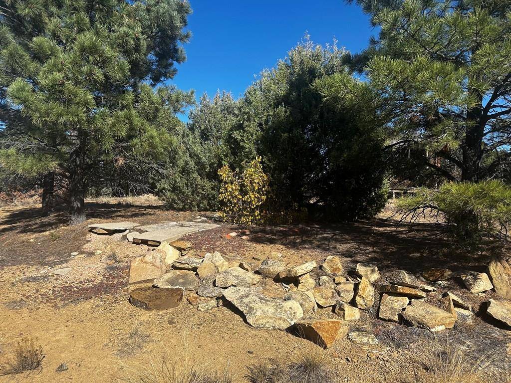 Trinidad, CO 81082,TBD Ponderosa Hills