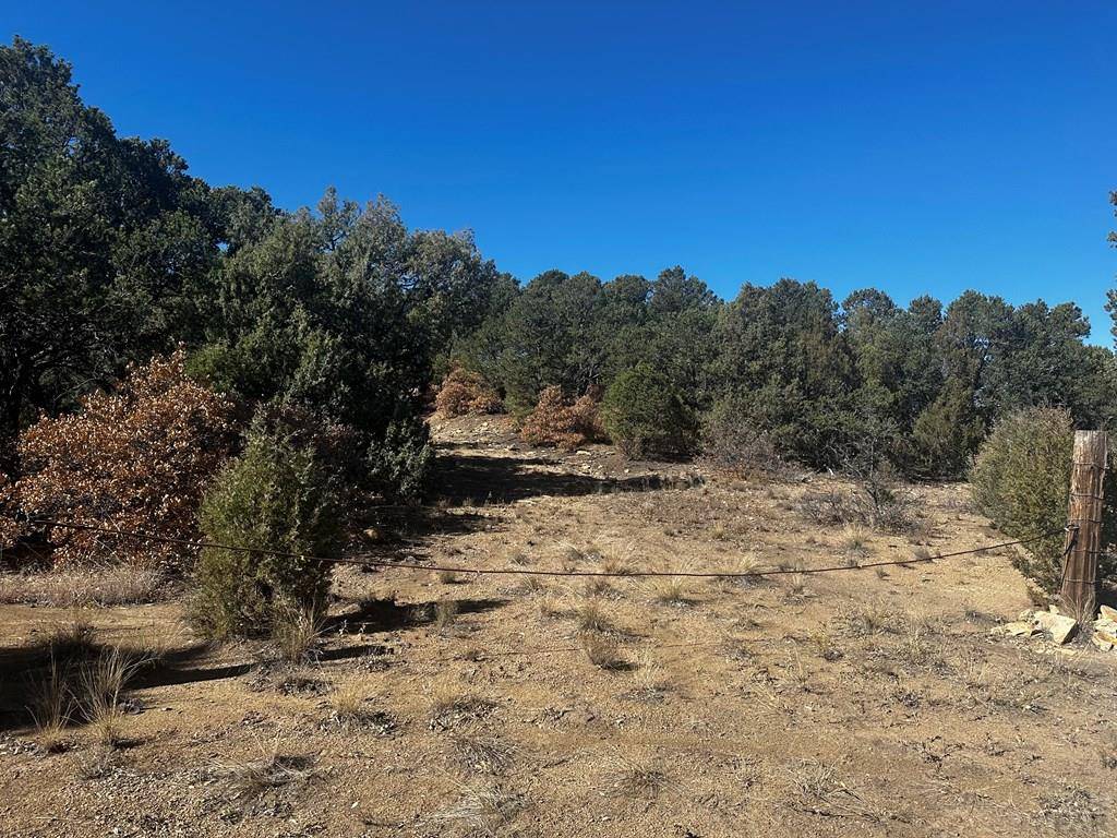 Trinidad, CO 81082,TBD Ponderosa Hills