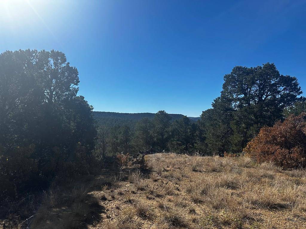 Trinidad, CO 81082,TBD Ponderosa Hills