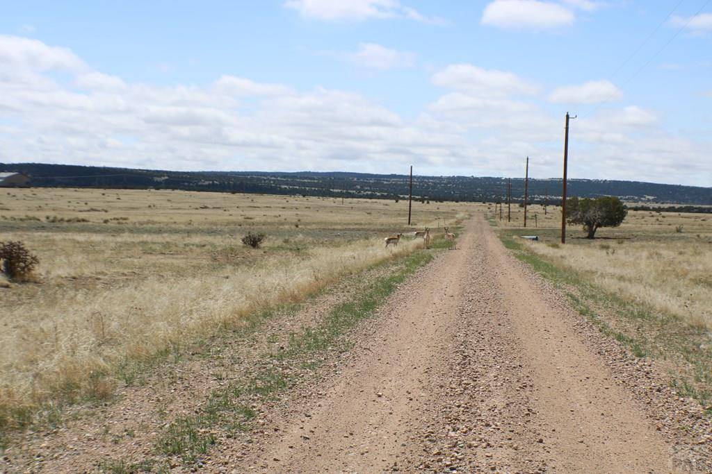 Rye, CO 81069,TBD Locomotive Ct