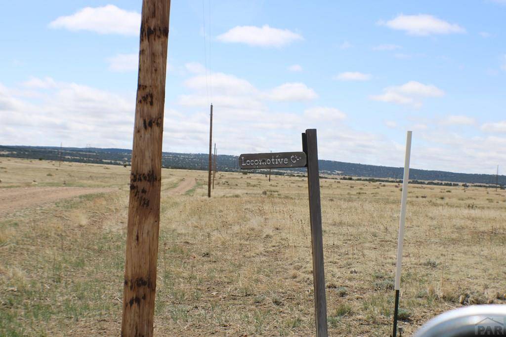 Rye, CO 81069,TBD Locomotive Ct