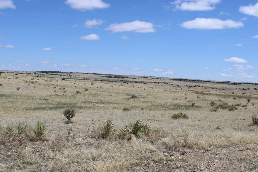 Rye, CO 81069,TBD Locomotive Ct