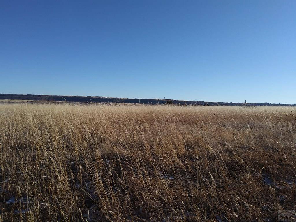 Colorado City, CO 81019,Lot 161 Chaffee Dr