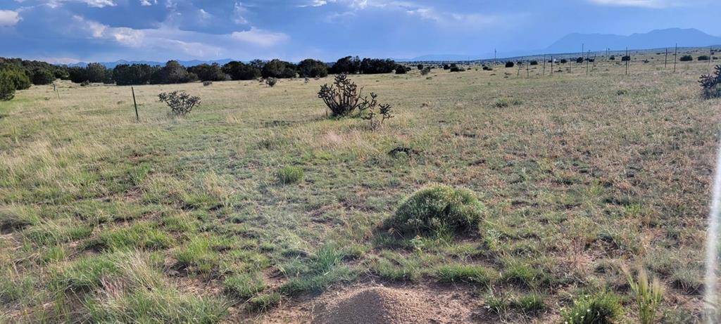 Walsenburg, CO 81089,Lot 47 County Rd 504