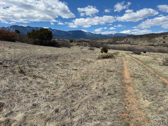 Colorado City, CO 81019,Lot 432 Patsy Cir