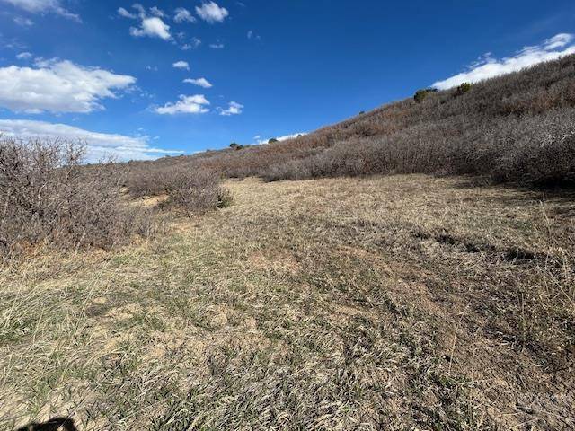 Colorado City, CO 81019,Lot 216 Stoelinga Dr