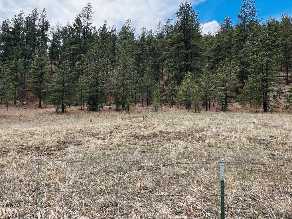 Weston, CO 81091,Lot 36 Logging Canyon Rd