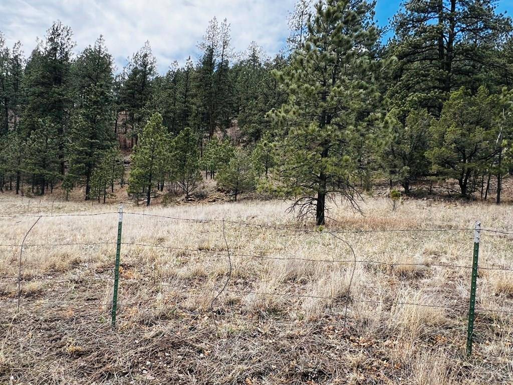 Weston, CO 81091,Lot 36 Logging Canyon Rd