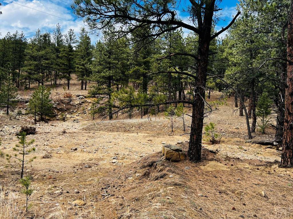 Weston, CO 81091,Lot 36 Logging Canyon Rd